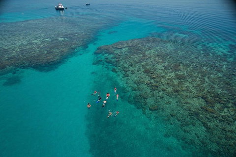 Ocean Freedom Great Barrier Reef Personal Luxury Snorkel & Dive Cruise, Cairns - Lismore Accommodation 3