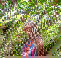 5 Day Australia Retreat Queensland Daintree - Lismore Accommodation