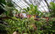 Australian Butterfly Sanctuary - thumb 0