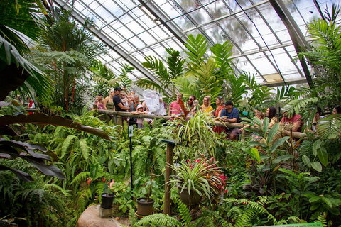 Australian Butterfly Sanctuary - Lismore Accommodation 0