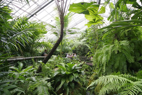Australian Butterfly Sanctuary - Lismore Accommodation 3