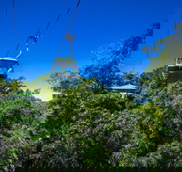 Classic Kuranda by Skyrail and Scenic Railway Including Rainforestation Koala and Wildlife Park and Pamagirri Aboriginal Experi - Lismore Accommodation