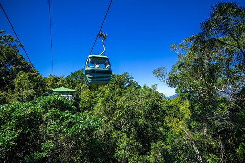 Classic Kuranda By Skyrail And Scenic Railway Including Rainforestation, Koala And Wildlife Park And Pamagirri Aboriginal Experi - Lismore Accommodation 0