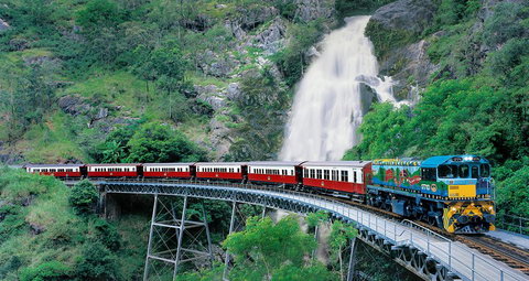 Classic Kuranda By Skyrail And Scenic Railway Including Rainforestation, Koala And Wildlife Park And Pamagirri Aboriginal Experi - Lismore Accommodation 1