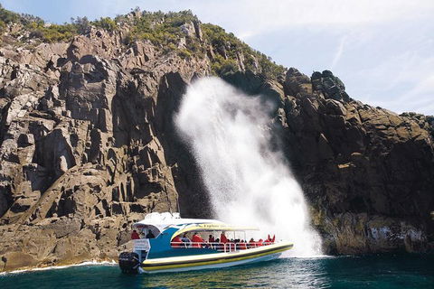 Full-Day Bruny Island Cruises Day Tour From Hobart - Lismore Accommodation 4