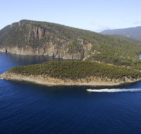 3-Hour Bruny Island Cruise from Adventure Bay Bruny Island - Lismore Accommodation