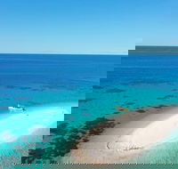 Ocean Safari Great Barrier Reef Experience in Cape Tribulation - Lismore Accommodation