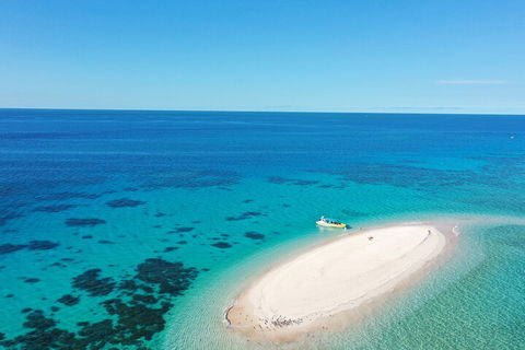 Ocean Safari Great Barrier Reef Experience In Cape Tribulation - Lismore Accommodation 0