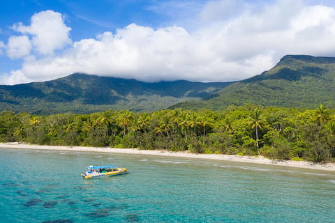 Ocean Safari Great Barrier Reef Experience In Cape Tribulation - Lismore Accommodation 2