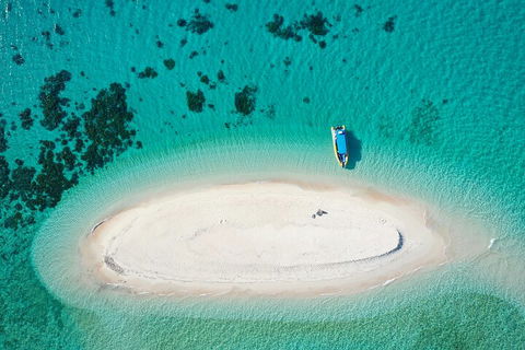 Ocean Safari Great Barrier Reef Experience In Cape Tribulation - Lismore Accommodation 3