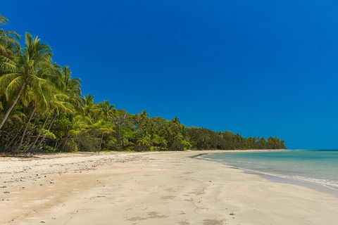 Ocean Safari Great Barrier Reef Experience In Cape Tribulation - Lismore Accommodation 4