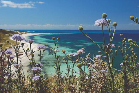 Rottnest Island Full-Day Trip With Guided Island Tour From Perth - Lismore Accommodation 2