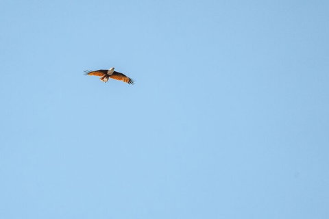 North Stradbroke Island Day Trip From Brisbane - Lismore Accommodation 4