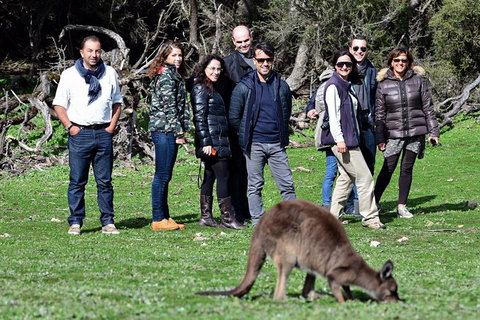 2-Day Kangaroo Island 4WD Small-Group Tour From Adelaide - Lismore Accommodation 1