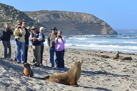 2-Day Kangaroo Island 4WD Small-Group Tour From Adelaide - Lismore Accommodation 3