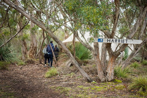2-Day Kangaroo Island 4WD Small-Group Tour From Adelaide - Lismore Accommodation 5