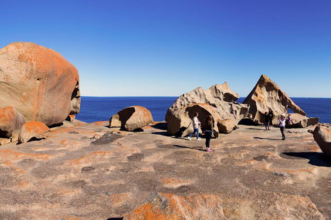 Full-Day Kangaroo Island Experience Departing From Kangaroo Island - Lismore Accommodation 4