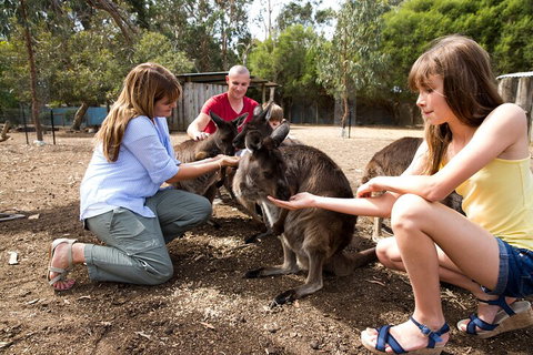 Full-Day Kangaroo Island Experience Departing From Kangaroo Island - Lismore Accommodation 5
