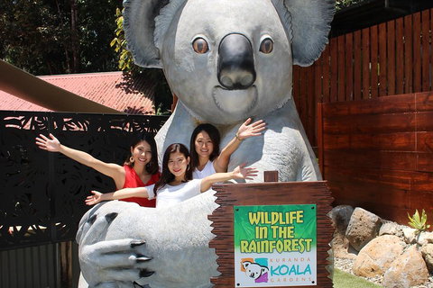 Kuranda Koala Gardens And Birdworld Admission Tickets - Lismore Accommodation 3