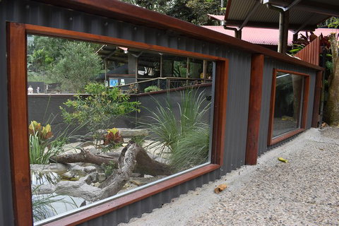 Kuranda Koala Gardens And Birdworld Admission Tickets - Lismore Accommodation 4