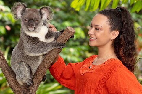 Kuranda Wildlife Experience Three Attraction Pass - Lismore Accommodation 4