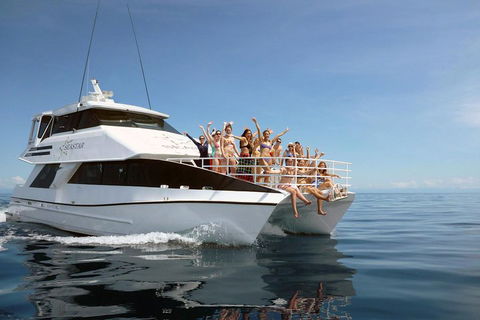 Seastar Luxury Outer Great Barrier Reef Island And Reef Tour From Cairns - Lismore Accommodation 4