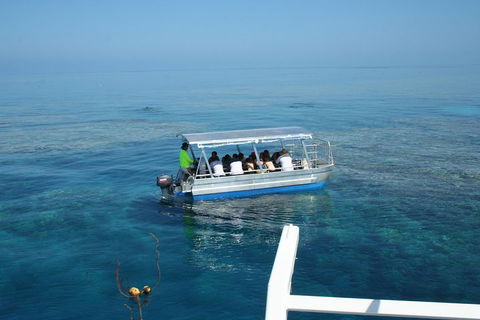 Seastar Luxury Outer Great Barrier Reef Island And Reef Tour From Cairns - Lismore Accommodation 5