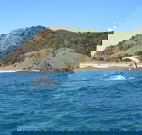 Kayaking with Dolphins in Byron Bay Guided Tour - Lismore Accommodation
