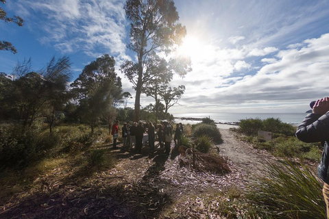 Bruny Island Day Tour, Includes Lunch And Exclusive Lighthouse Tour - Lismore Accommodation 5