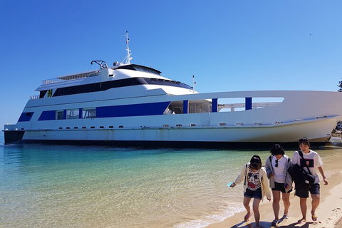 Moreton Island Day Trip (Kayak, Snorkel & Sandboard) Frm Brisbane Or Gold Coast - Lismore Accommodation 0