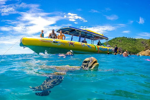 Great Barrier Reef Scenic Flight And Ocean Rafting Whitehaven Beach Day Trip - Lismore Accommodation 1