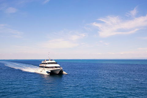 Tangalooma Island Resort Whale Watching Day Cruise - Lismore Accommodation 5