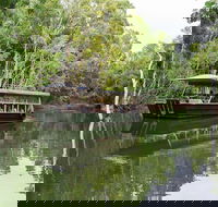 Hartley's Crocodile Adventures Breakfast with the Koalas - Lismore Accommodation