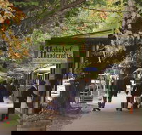 Adelaide Highlights Hahndorf  McLaren Vale Wine Tasting and Sightseeing Tour - Lismore Accommodation