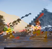 Kangaroo Island Self-Guided Kayaking on the Harriet River - Lismore Accommodation