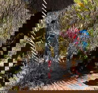 Kangaroo Island Quad Bike ATV Tours - Lismore Accommodation