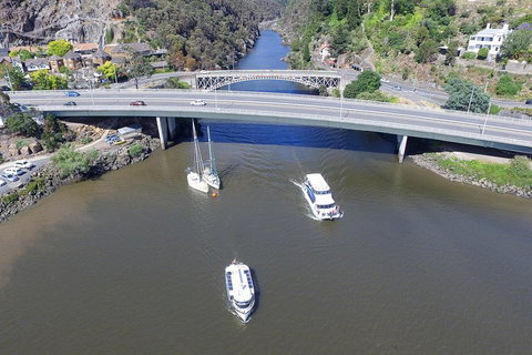 2.50 Hour Afternoon Discovery Cruise Including Cataract Gorge Departing At 3 Pm - Lismore Accommodation 1