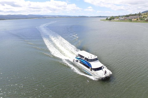 2.5 Hour Afternoon Discovery Cruise Including Cataract Gorge Departs At 1: 30 Pm - Lismore Accommodation 4