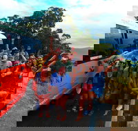 Atherton Tablelands Waterfalls Tour from Cairns - Lismore Accommodation