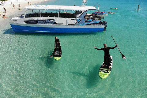 Whitsunday Bullet Day Trip - Whitehaven Beach And Snorkelling - Lismore Accommodation 4