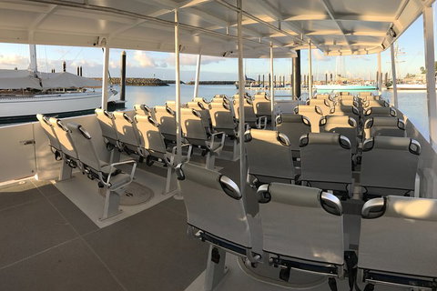 Whitsunday Bullet Day Trip - Whitehaven Beach And Snorkelling - Lismore Accommodation 5