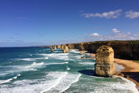 Great Ocean Road Reverse Itinerary Tour - Lismore Accommodation 4