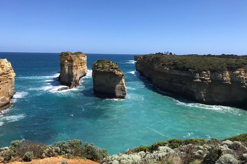 Great Ocean Road Reverse Itinerary PREMIUM Tour - Lismore Accommodation 0