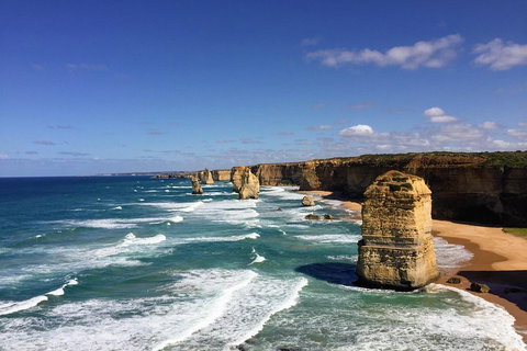 Great Ocean Road Reverse Itinerary PREMIUM Tour - Lismore Accommodation 2