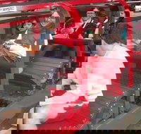 Blue Mountains Private Tour with Wildlife Park and River Cruise - Lismore Accommodation