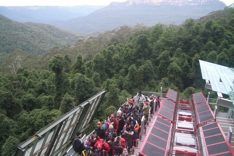 Blue Mountains Private Tour With Wildlife Park And River Cruise - Lismore Accommodation 1