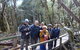 Blue Mountains Private Tour With Wildlife Park And River Cruise - thumb 2