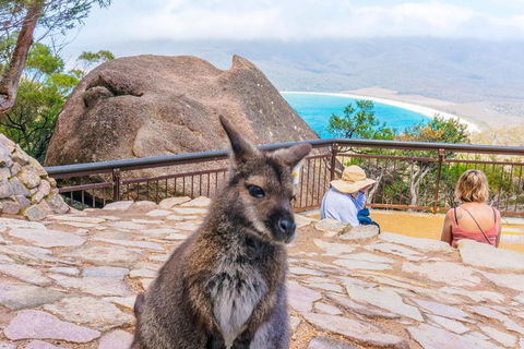 Wineglass Bay & Freycinet NP Full Day Tour From Hobart Via Richmond Village - Lismore Accommodation 0