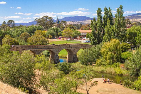 Wineglass Bay & Freycinet NP Full Day Tour From Hobart Via Richmond Village - Lismore Accommodation 4