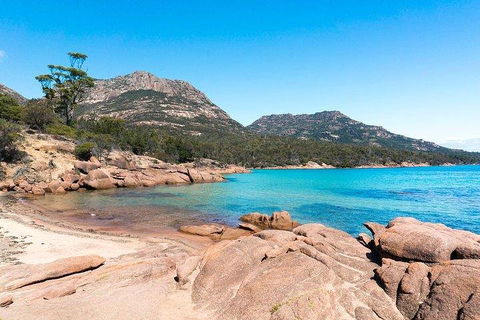 Wineglass Bay & Freycinet NP Full Day Tour From Hobart Via Richmond Village - Lismore Accommodation 5
